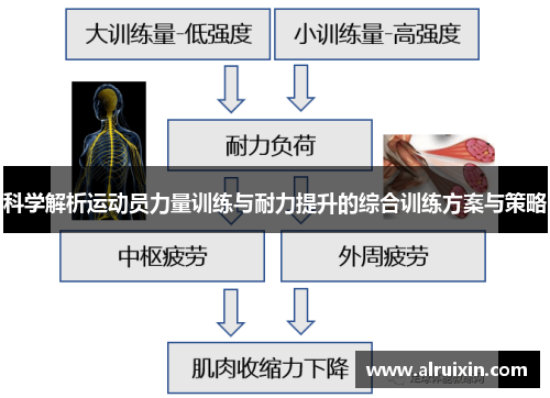 科学解析运动员力量训练与耐力提升的综合训练方案与策略