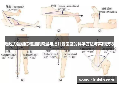 通过力量训练增加肌肉量与提升骨密度的科学方法与实用技巧